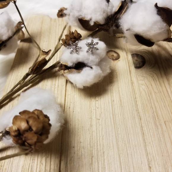 ❄❄Gorgeous CZ Snowflake earrings❄❄ - Picture 8 of 10